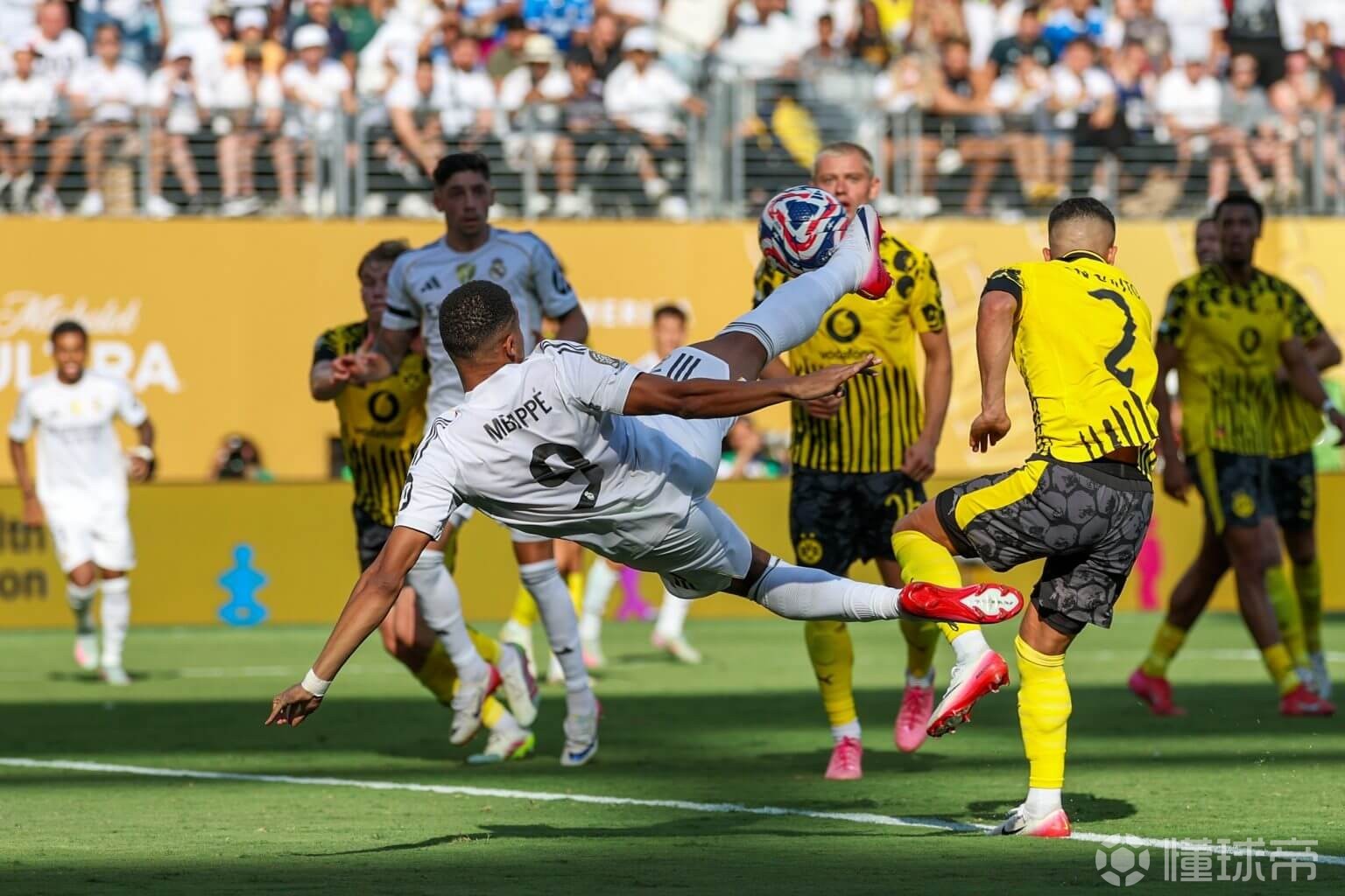 开云·体育app中国-大马德里电影完整版